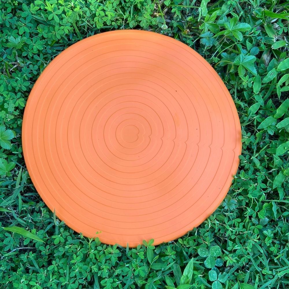 HUNTER for Target Flying Disc - Picture 3 of 5